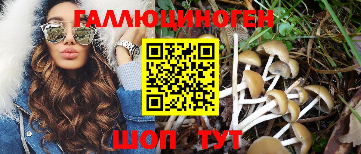 Псилоцибиновые грибы мухоморы  Галлюциногенные грибы Magic Shrooms  Еманжелинск  Вход с VPN 